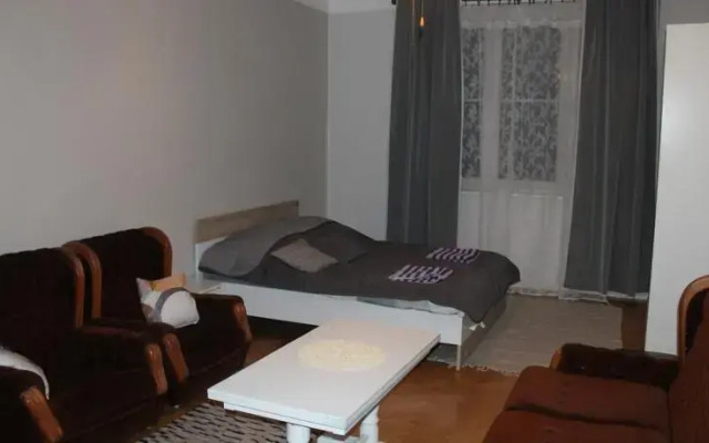 Apartament Karmelicka