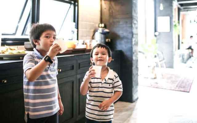 Shade House - Phuket Downtown