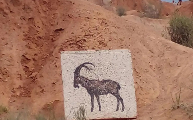 Waterfall in the yard