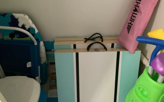 The Mermaid and the Sea Turtle