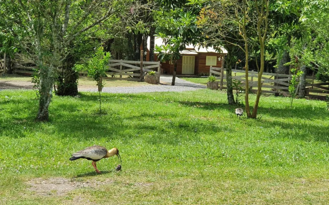 Sitio Recanto Feliz