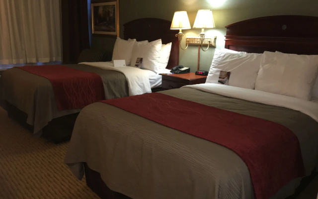 Comfort Inn Springfield