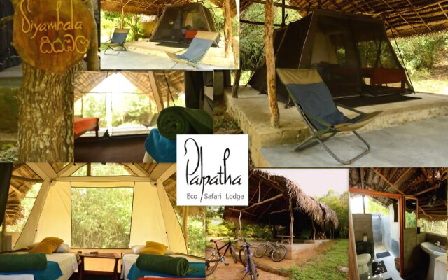 Palpatha Eco Safari Lodge
