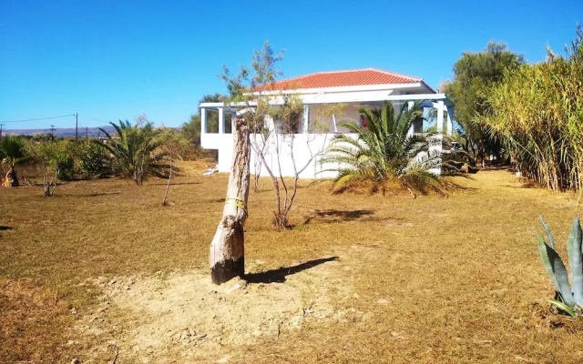 Alekos Beach Houses - Caretta