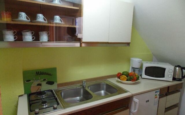 Apartment Tomy / Studio Terrace A1