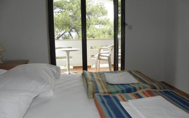 Apartment Mirja - 50 m from beach: A2 Petrcane, Zadar riviera