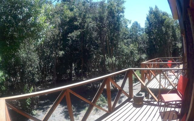 Cabanas Ensenada Bosque Nativo