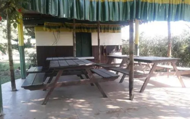 Green Tea Resort