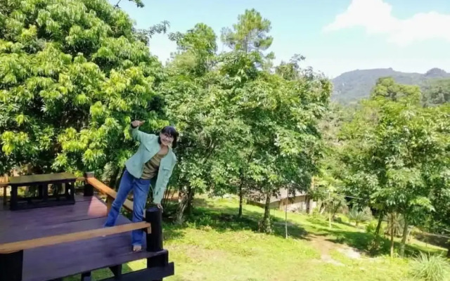 Jungle guest house