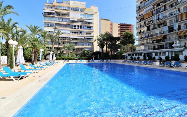 Bermudas 313 in Benidorm