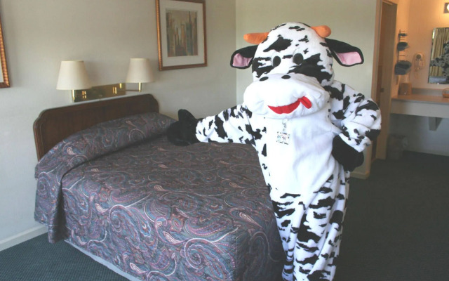 Town and Country Motel