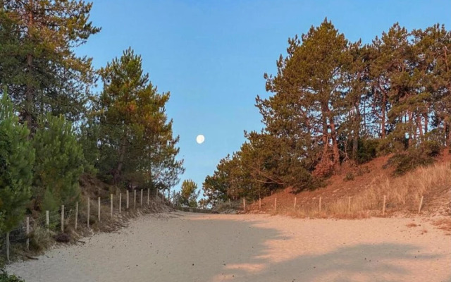 Apartment in Netherlands Near the Coast