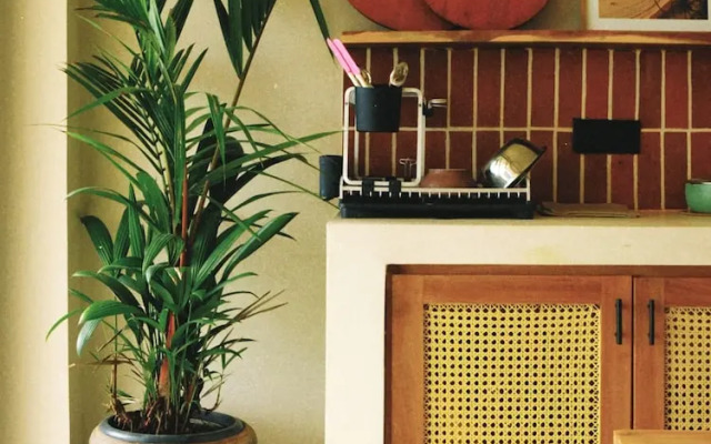 Soul Temple of Surfing