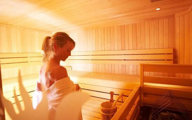 Sonnblick Apartments Hollersbach