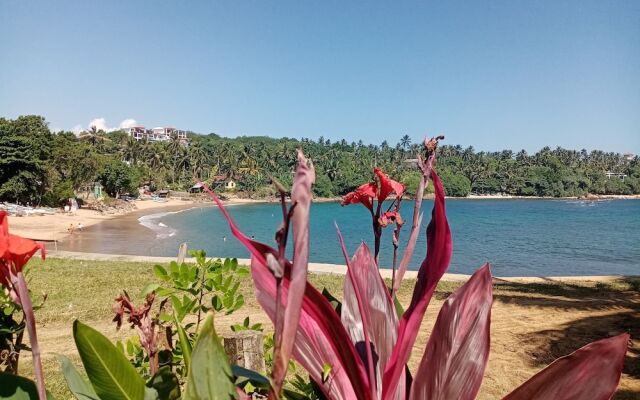 Surf Paradise Hotel