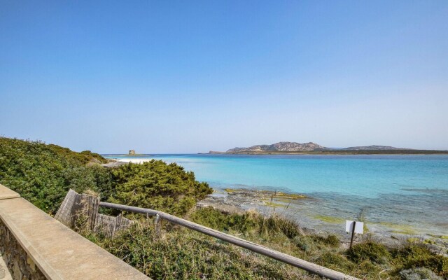 Beautiful Apartment in Stintino With Wifi and 1 Bedrooms