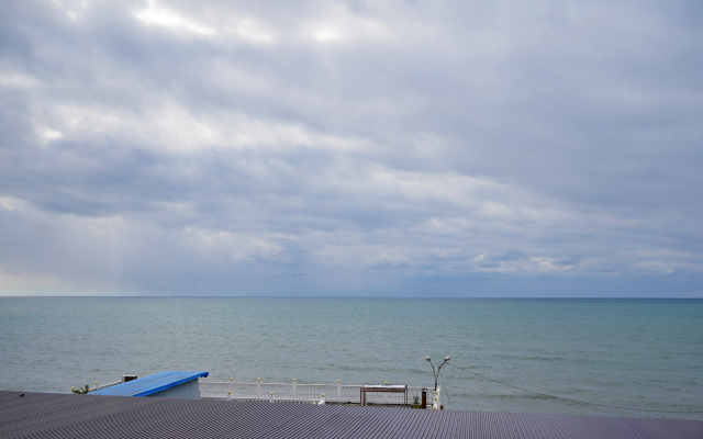 Mechta (f. Ellison Mechta)