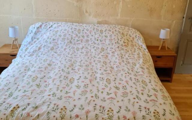 L'olivier et la lavande