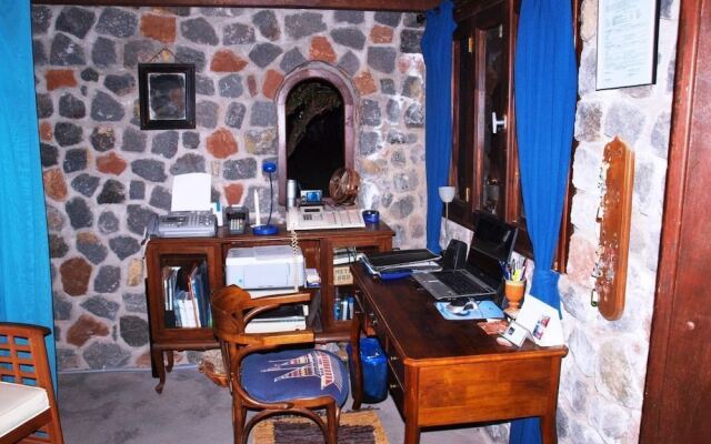 Ecoxenia Studios