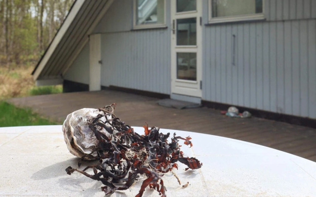 Comfortablle Holiday Home in Nordjylland near Sea