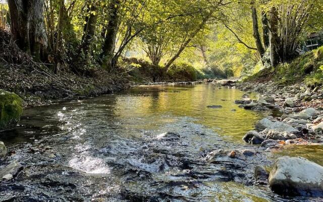 Chambres d'hôtes Les Chaillottes