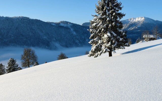 Mountain Chalet With Garden And Parking In Grindelwald