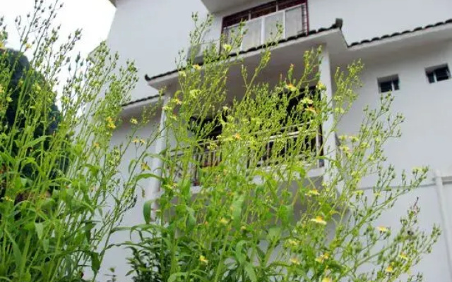 Moon Hill House