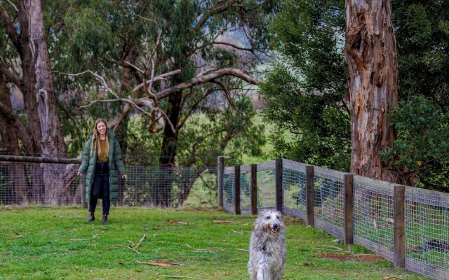 Forrest Holiday Park