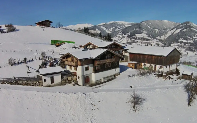 Modern Mansion in Kaprun Near Ski Area