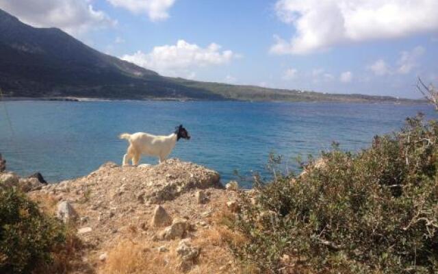 Aparthotel 4 Stars Kampos