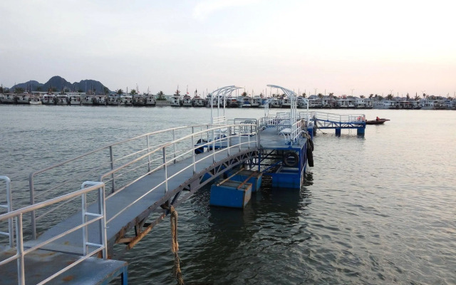 Gray Line Halong Cruise