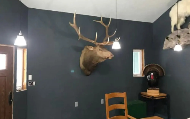 The Last Resort Lodge