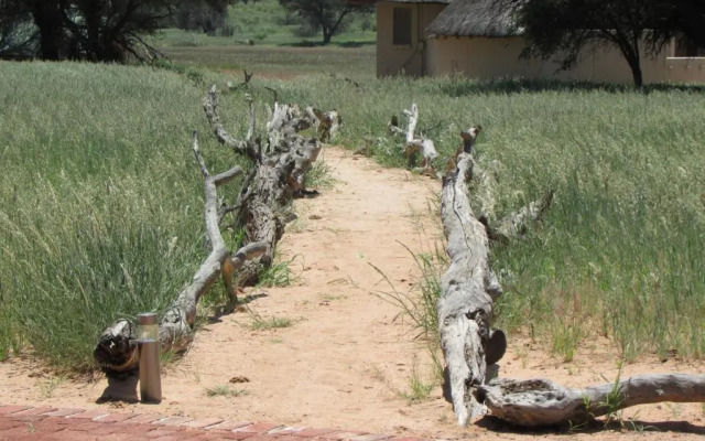 Kalahari Game Lodge