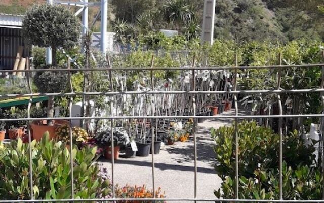 Hostal Nuevo Montesol
