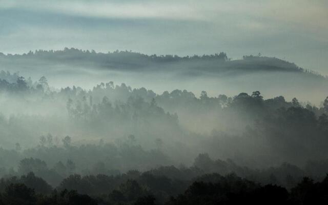 Casas de São Martinho