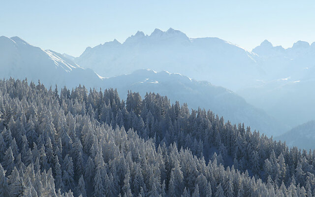 Wohnung 4 Bettmeralp