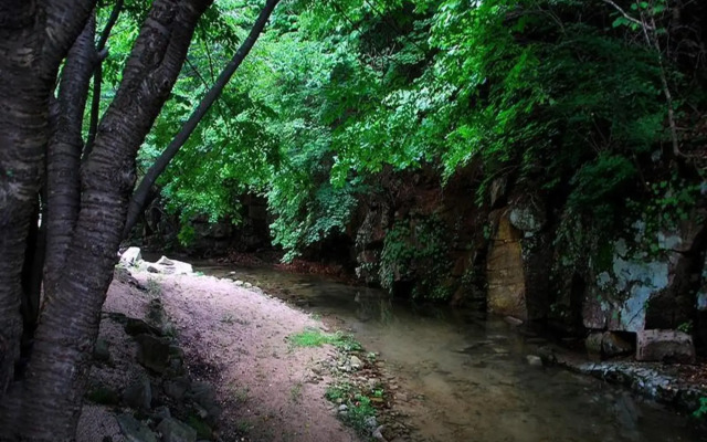 Pocheon Star Sky Pension