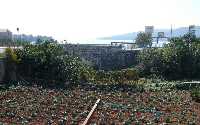 Ante - 50 M From the sea - A2