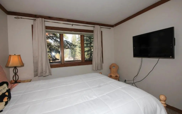 Mountainback #50, pet friendly
