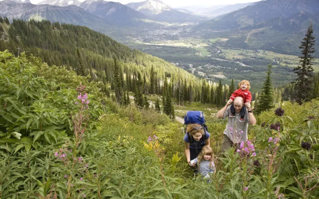Timberline Lodges by Fernie Lodging Company
