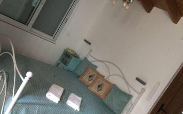 Vitis Vinifera Tranditional Studio Apartment