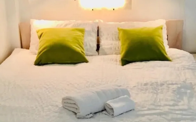 Lovely Apartment in Centre Prague 1
