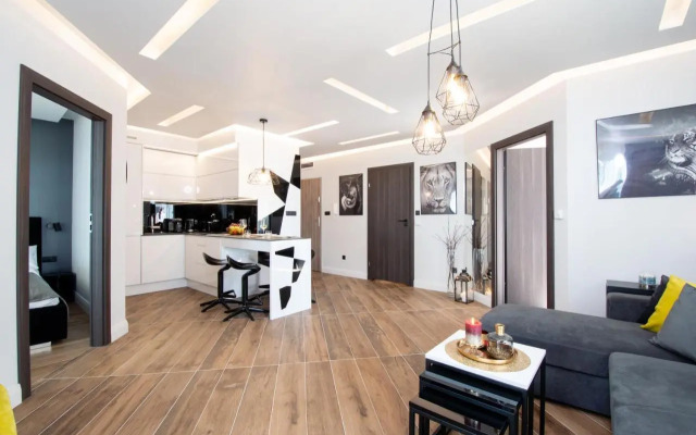 Apartament Lagarto