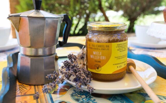 Apartment Levante Marina di Bibbona