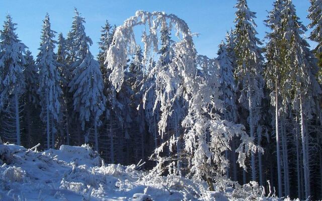Serene Apartment near Ski Area in Hesborn