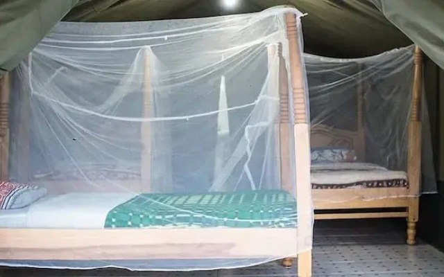 Miti Mingi Eco Camp