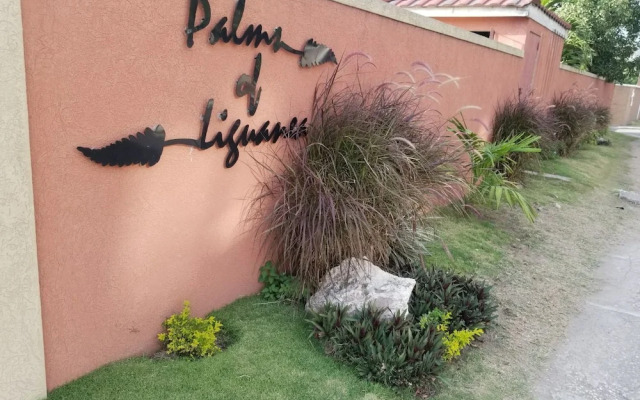 Palms of Liguanea