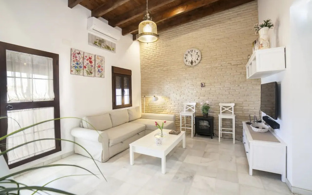 Alohamundi Castilla Iii