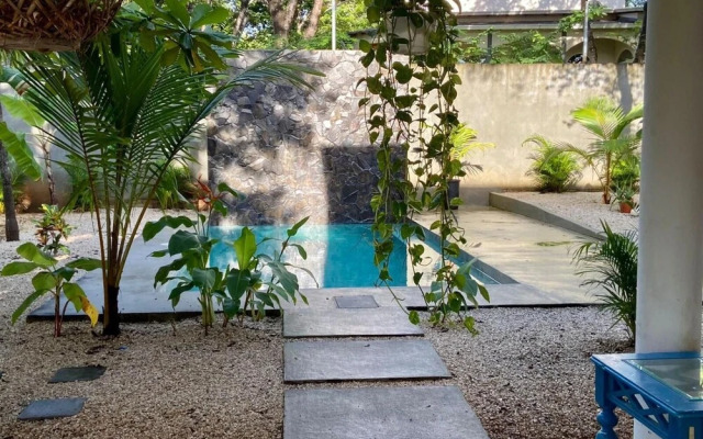 Casa Alice Surf Lodge - Hostel