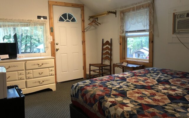 Lake George Bears Den